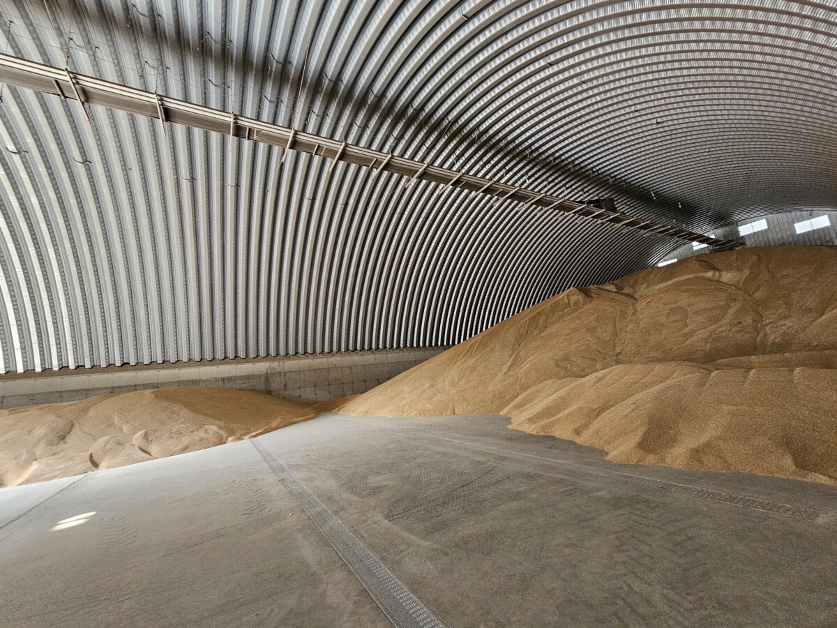 Grain storage halls